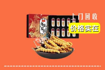 海城市回收虫草